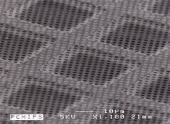 C-flat サポートフィルム