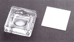 エンブリオディッシュ