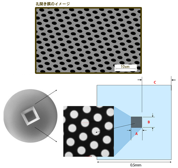 Holey Silicon Nitride