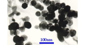 Single-Element Oxides
