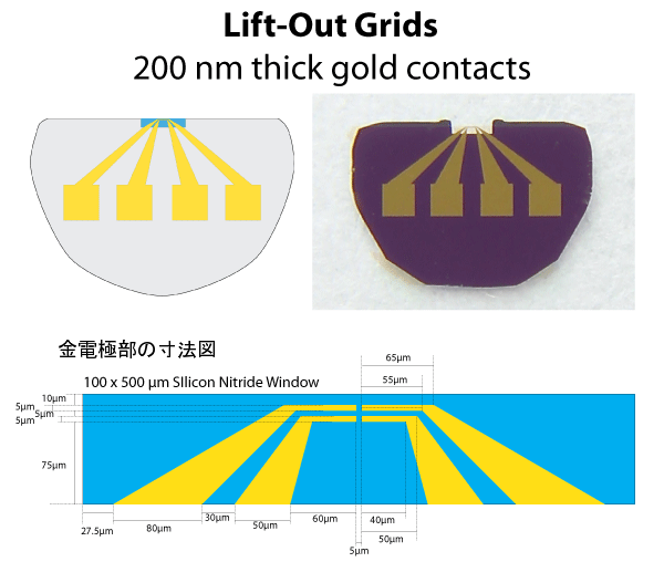 Silicon Nitride Lift-Out TEM Windows